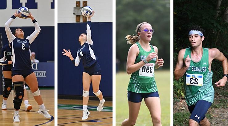 A collage of four Delaware Tech athletes in action - two Cross Country runners and two Volleyball players